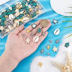 DIY Turtle Findings Kits&nbsp;FIND-PH0027-78