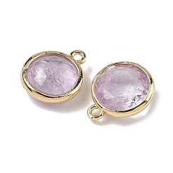 Natural Amethyst Faceted Flat Round Charms&nbsp;G-U028-03G-09
