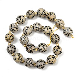 Natural Dalmatian Jasper Beads Strands&nbsp;G-C249-A02-16mm