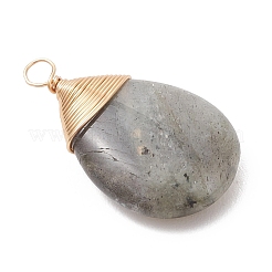 Natural Labradorite Pendants&nbsp;PALLOY-JF05086-02