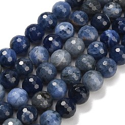 Natural Sodalite Beads Strands&nbsp;G-C280-B02-10mm