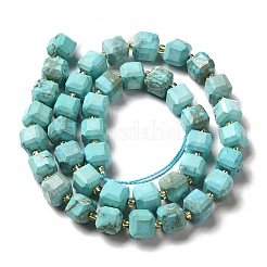 Natural Howlite Beads Strands&nbsp;G-C025-14