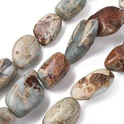 Natural Shoushan Stone Beads Strands&nbsp;G-D098-C05