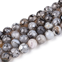 Dyed & Heated Natural Fire Crackle Agate Beads Strands&nbsp;G-N359-01B-04