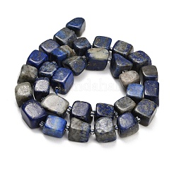 Natural Lapis Lazuli Beads Strands&nbsp;G-D108-B01