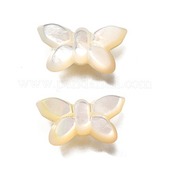 Natural White Shell Beads&nbsp;BSHE-Z008-02