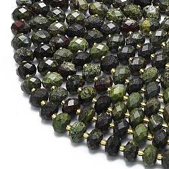 Natural Dragon Blood Beads Strands&nbsp;G-P573-A40-01