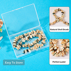1 Strand Natural Seashell Shell Beads Strands&nbsp;SSHEL-TA0001-12