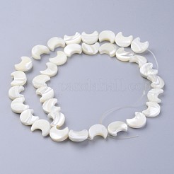 Natural White Shell Beads Strands&nbsp;SSHEL-12X11
