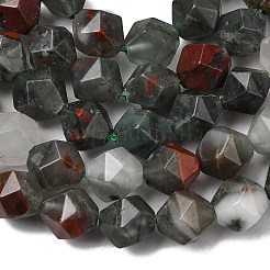 Natural African Bloodstone Beads Strands&nbsp;G-Z119-A28-03