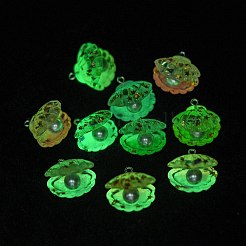 Luminous Transparent Resin Pendants&nbsp;RESI-E054-03P