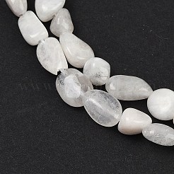 Natural Rainbow Moonstone Beads Strands&nbsp;G-G018-48-01