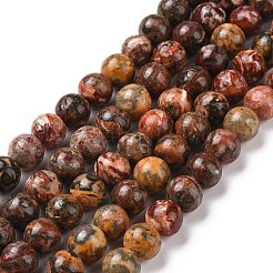 Natural Leopard Skin Jasper Round Beads Strands&nbsp;G-S182-8mm