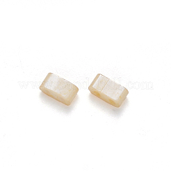 FGB 2-Hole Baking Paint Glass Seed Beads&nbsp;SEED-S031-M-593