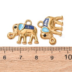 304 Stainless Steel Enamel Pendants&nbsp;STAS-Z193-12G-01A