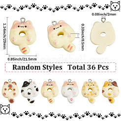 36Pcs Resin Pendants&nbsp;FIND-SC0020-23