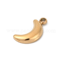 304 Stainless Steel Pendants&nbsp;STAS-L283-24G
