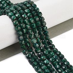 Natural Malachite Beads Strands&nbsp;G-H042-A50-02