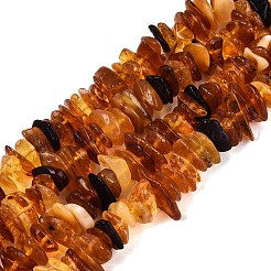 Natural Amber Beads Strands&nbsp;G-N371-22A-01