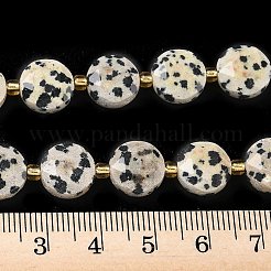 Natural Dalmatian Jasper Beads Strands&nbsp;G-C116-A187-01