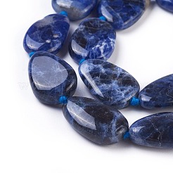 Natural Sodalite Beads Strands&nbsp;G-F645-10