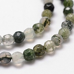 Natural Moss Agate Beads Strands&nbsp;X-G-D840-25-4mm