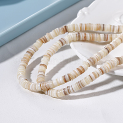 Natural Shell Beads Strands&nbsp;BSHE-WH0013-01