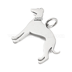 Non-Tarnish 304 Stainless Steel Pendants&nbsp;STAS-E205-11P