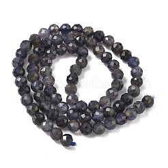 Natural Iolite Beads Strands&nbsp;G-J400-E05-02B