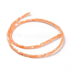 Natural Trochus Shell Beads Strands&nbsp;SSHEL-H070-01F