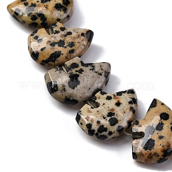 Natural Dalmatian Jasper Beads Strands&nbsp;G-F783-G06-01