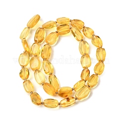 Natural Amber Beads Strands&nbsp;G-K376-G03-03