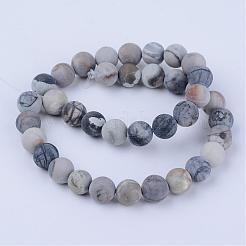 Natural Polychrome Jasper/Picasso Stone/Picasso Jasper Beads Strands&nbsp;G-Q462-8mm-02