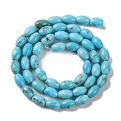 Natural Howlite Beads Strands&nbsp;G-H025-02B