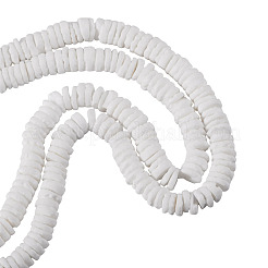 2 Strands Natural White Shell Beads Strands&nbsp;BSHE-TA0001-38