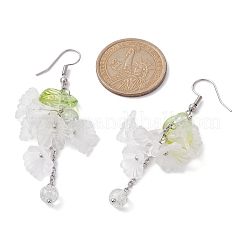Acrylic & Glass Dangle Earrings&nbsp;EJEW-JE05429