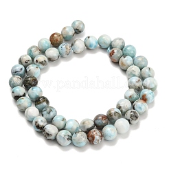 Natural Larimar Beads Strands&nbsp;G-L642-B19-8mm