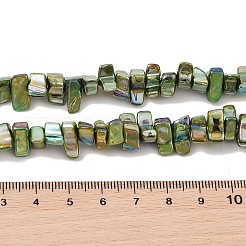 Natural Freshwater Shell Beads Strands&nbsp;BSHE-H018-07C