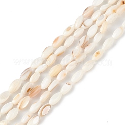Natural Freshwater Shell Dyed Beads Strands&nbsp;SHEL-M018-13-13