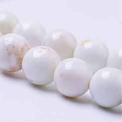 Natural Magnesite Bead Strands&nbsp;G-P286-10-6mm