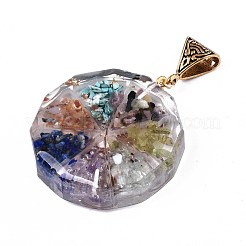 Transparent Epoxy Resin Alchemy Pendants&nbsp;RESI-T049-05