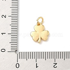 Brass Enamel Pendants&nbsp;KK-H534-13G-01