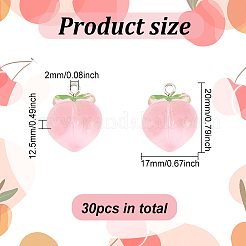 30Pcs Transparent Resin Pendants&nbsp;RESI-OC0001-46