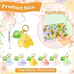 60Pcs 6 Styles Transparent Two Tone Spray Painted Glass Pendants&nbsp;PALLOY-YW00187