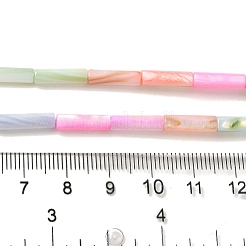 Rainbow Color Dyed Natural Freshwater Shell Beads Strands&nbsp;SHEL-G018-02B