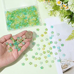300Pcs Frosted Acrylic Beads&nbsp;OACR-PA0001-71C