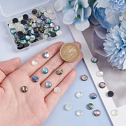 90Pcs 3 Colors Acrylic Imitation Shell Cabochons&nbsp;MACR-PH0001-65B
