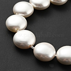 Electroplated Shell Pearl Beads Strands&nbsp;BSHE-G027-04