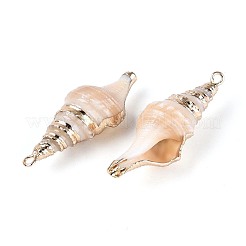 Electroplate Natural Spiral Shell Pendants&nbsp;SSHEL-T018-03
