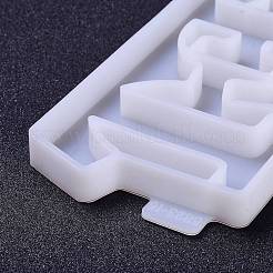 DIY Decorations Silicone Molds&nbsp;DIY-A021-17